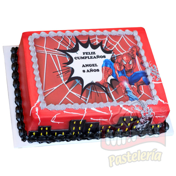 Spiderman Web (INF-501)