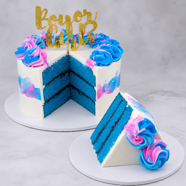Gender Reveal - Boy or Girl