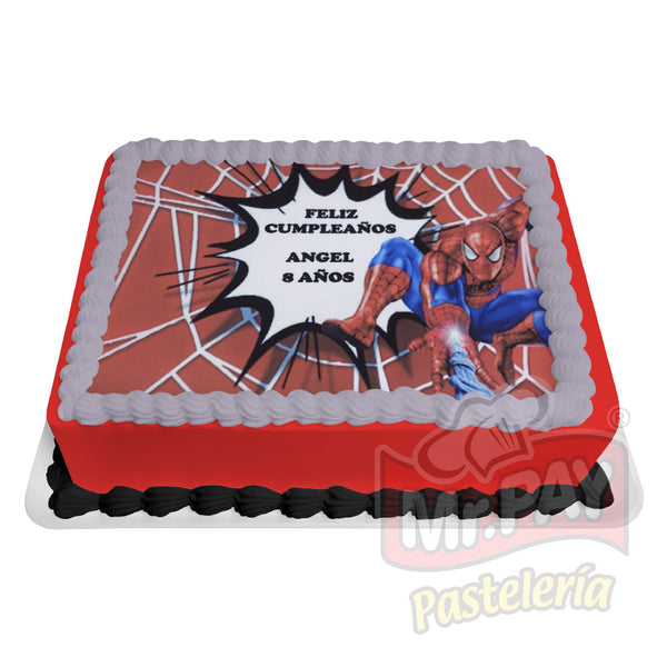 Spiderman Web (INF-501)