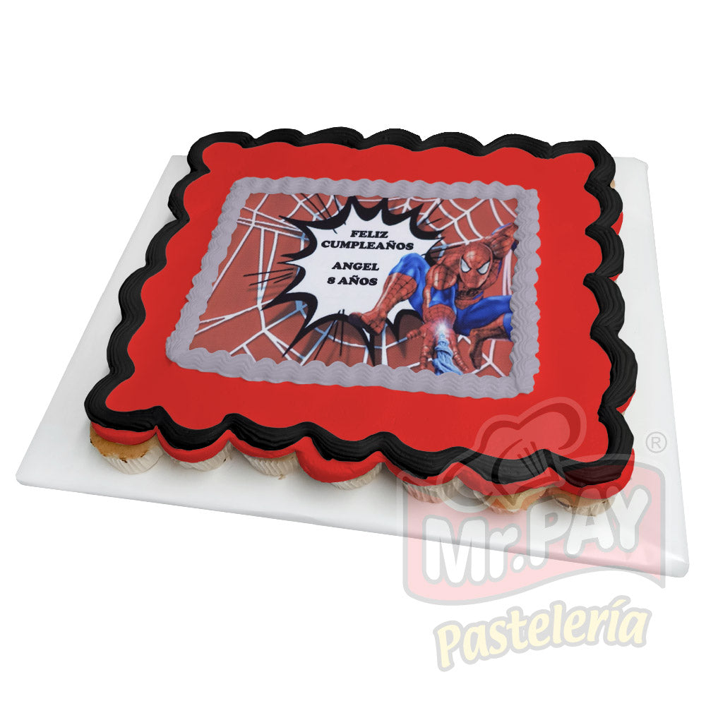 Spiderman Web (INF-501)