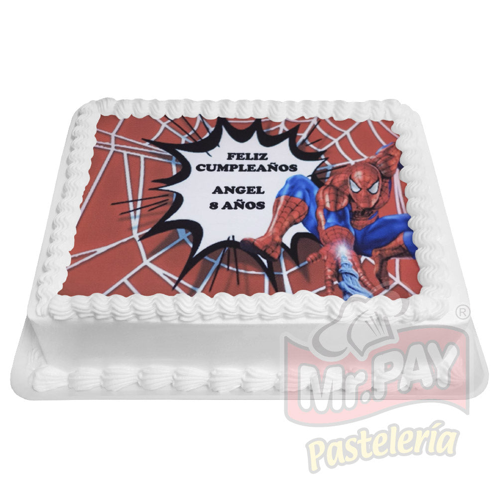Spiderman Web (INF-501)