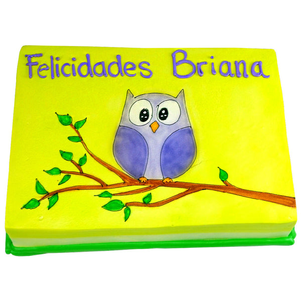 Pastel Cumpleaños Búho - Económico